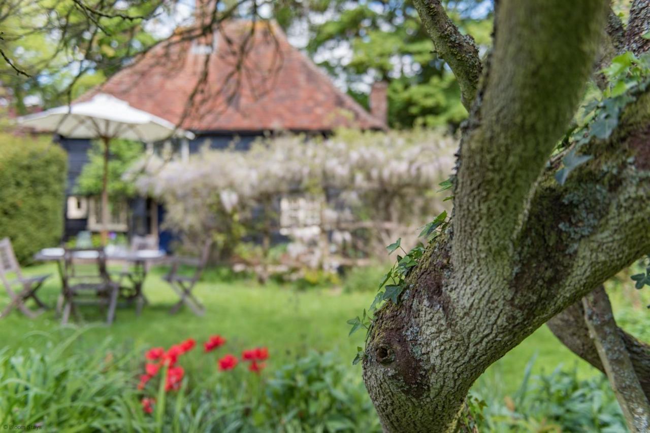 Walnut Tree Cottage By Bloom Stays 法弗舍姆 外观 照片